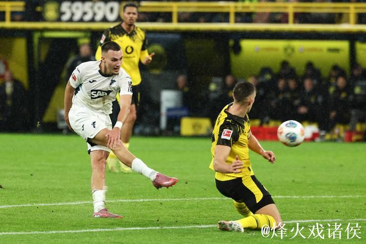 德甲:多特蒙德2比0霍芬海姆 德甲:多特蒙德2比0霍芬海姆